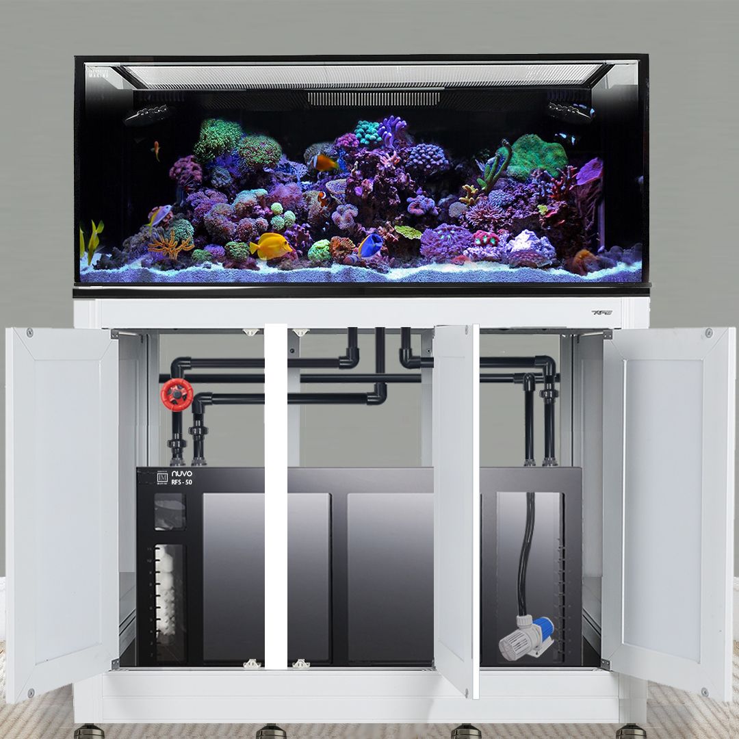 EXT 170 Gallon Complete Reef System – White