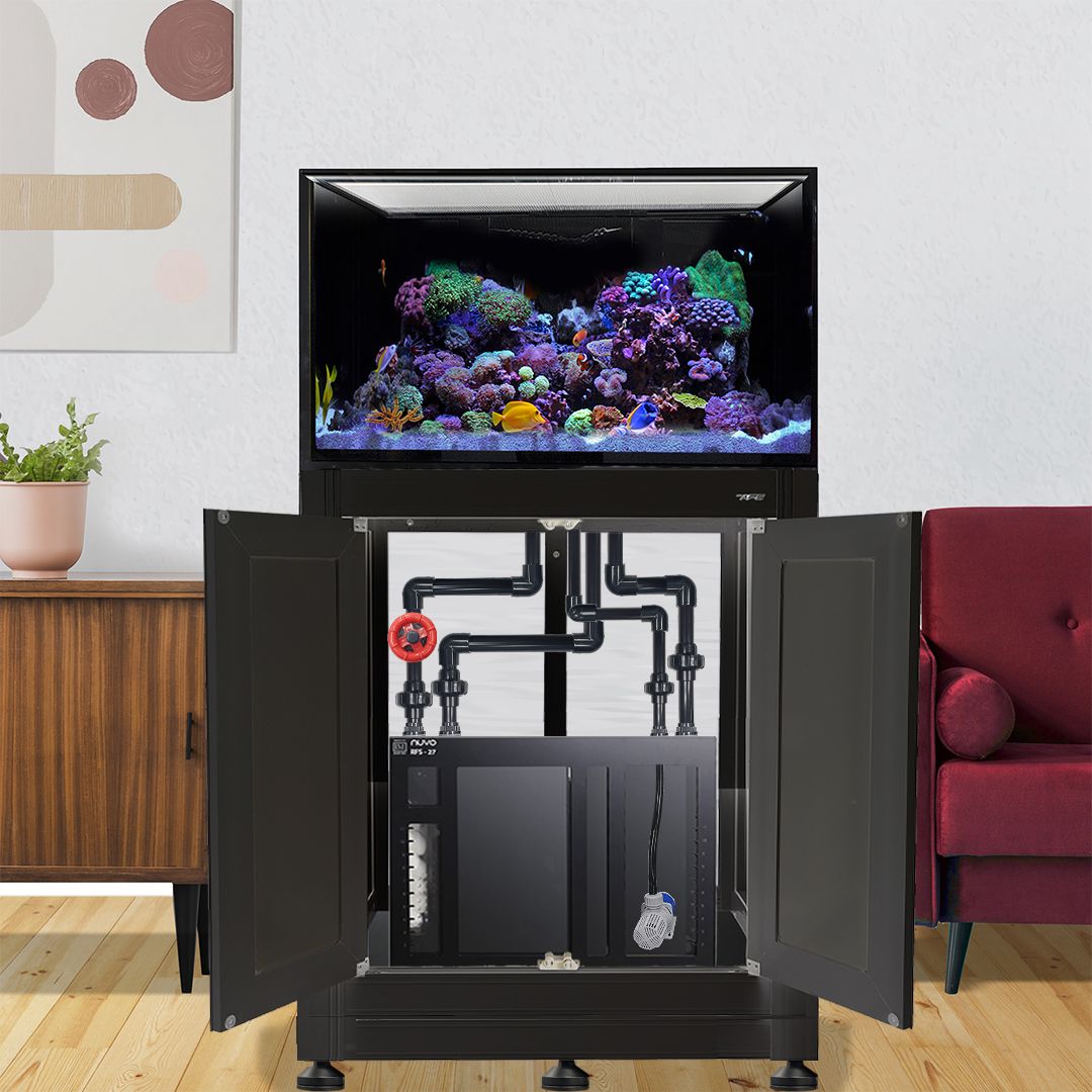 INT 75 Gallon Complete Reef System – Black