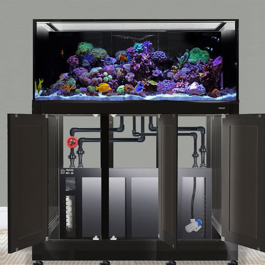 INT 170 Gallon Complete Reef System – Black