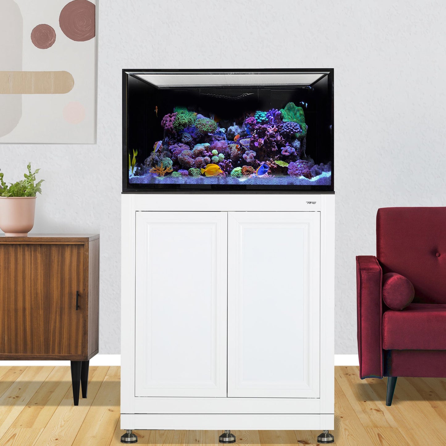 INT 75 Gallon Complete Reef System – White