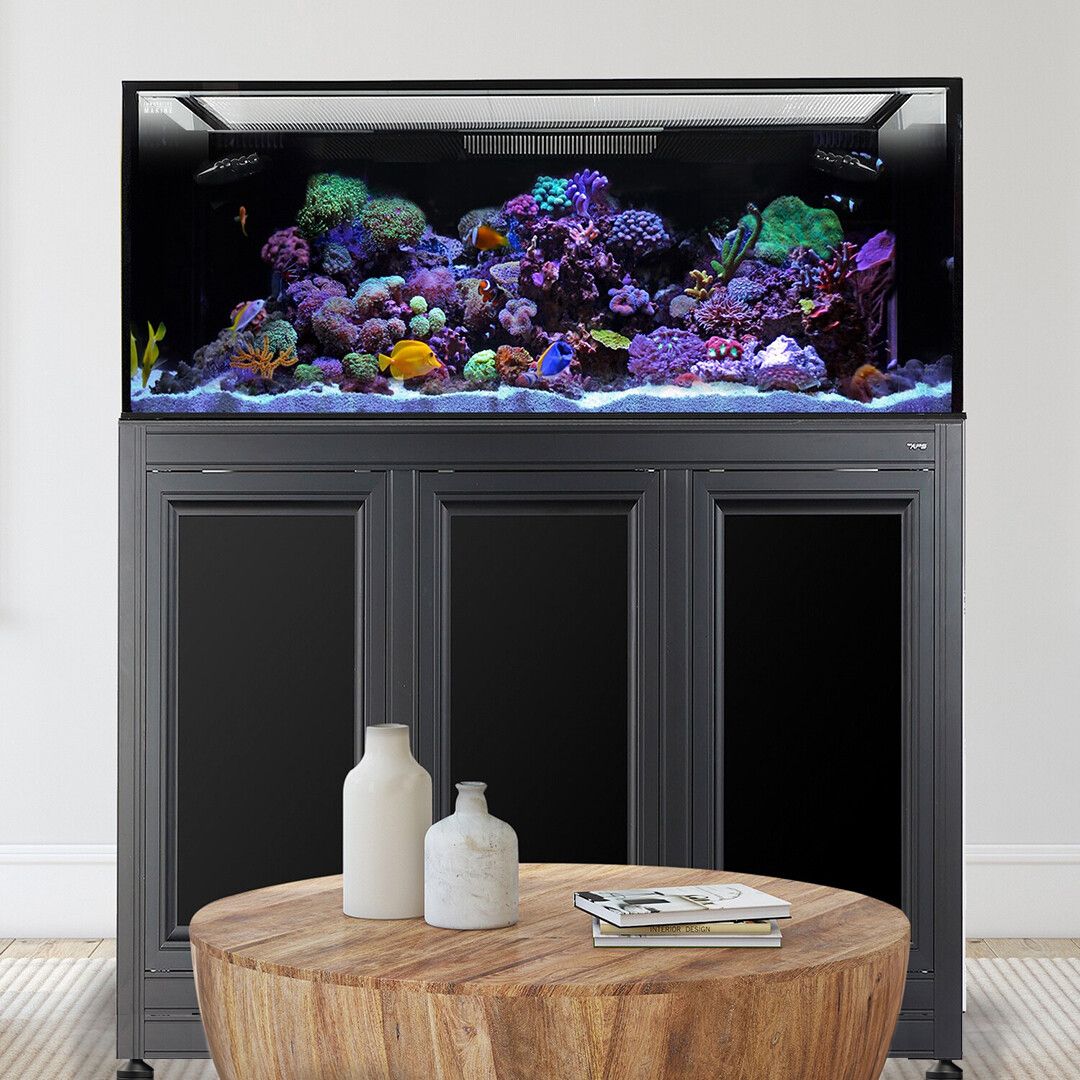 EXT 170 Gallon Complete Reef System – Black