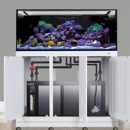 INT 170 Gallon Complete Reef System – White